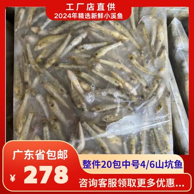 中号山坑鱼仔农家鱼私房菜