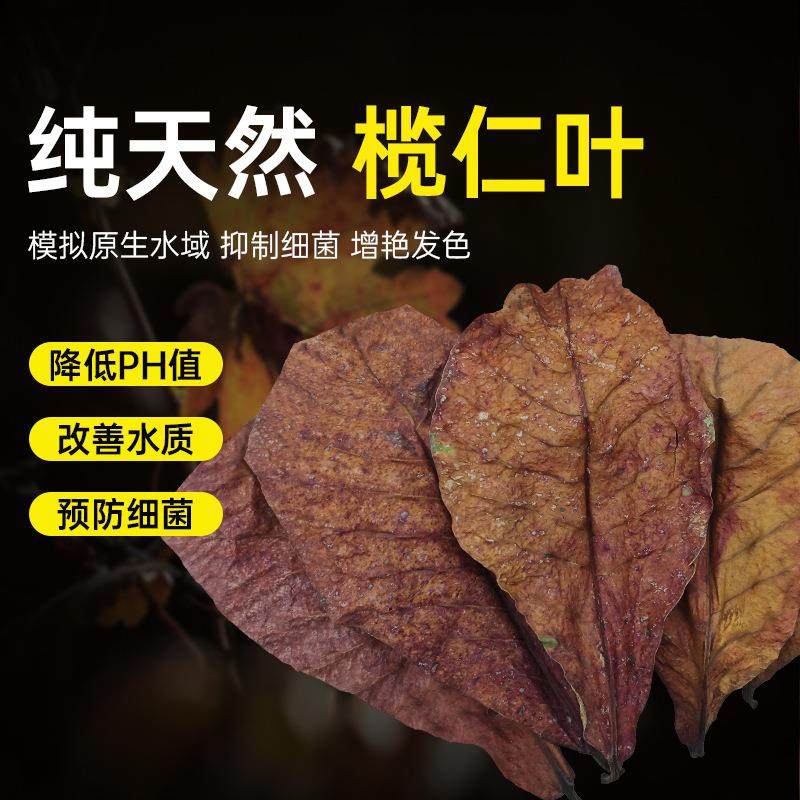 免煮榄仁叶斗鱼懒人叶鱼缸降酸PH值调节剂水族液态乌龟橄榄叶茶包