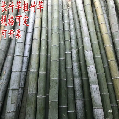 1米23456粗婚礼竹竿装饰竹子新鲜
