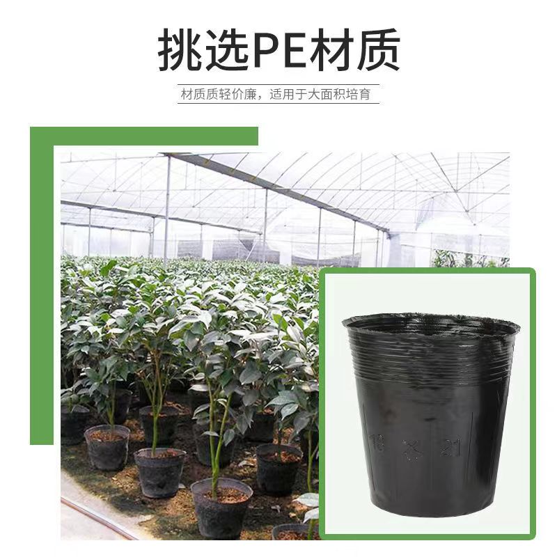 营养钵育苗杯育苗袋营养袋一次性黑色育苗盆苗圃育苗杯种植盆
