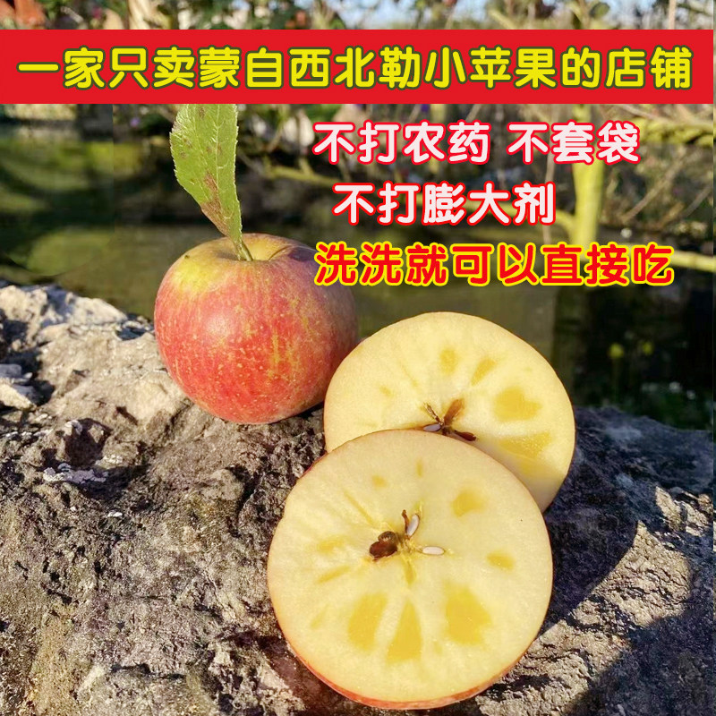 不打药云南蒙自西北勒野生小苹果