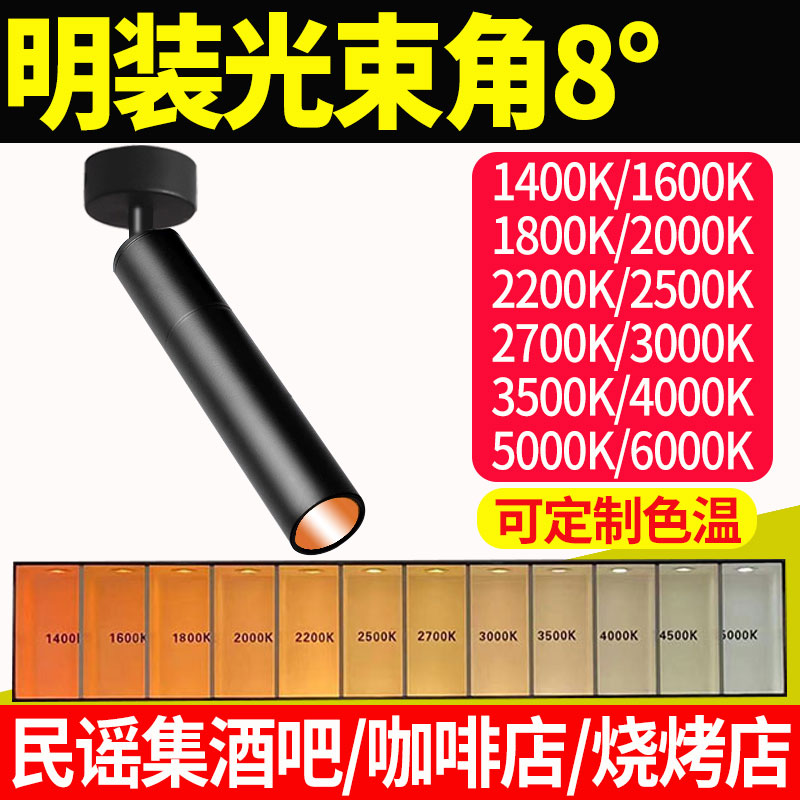 可定制色温明装轨道射灯