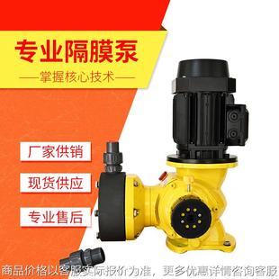 大长庆流量可调节泵GM立式机械隔膜计量泵加药装置污水处理加药泵