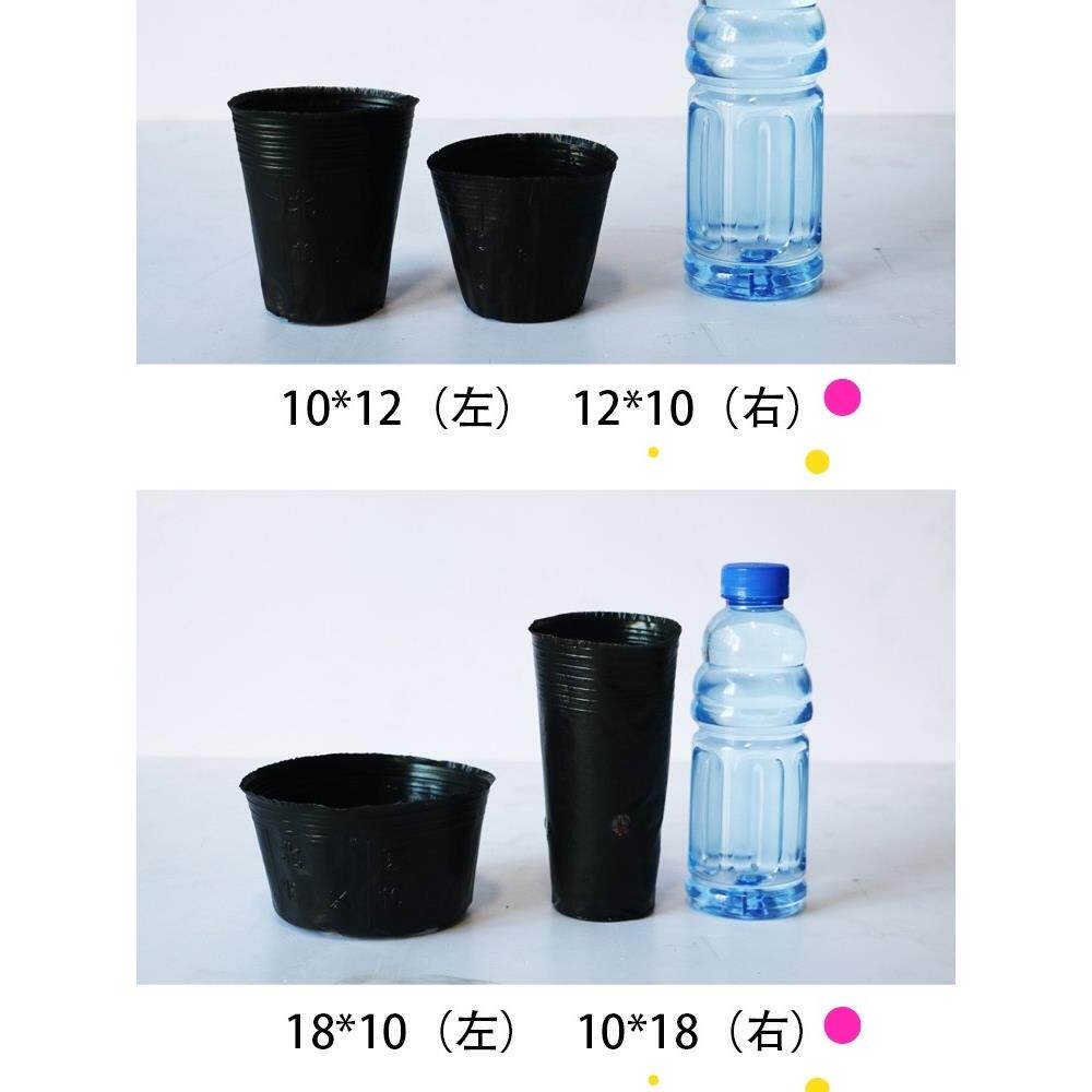 营养钵树苗种植营养袋育苗钵营养杯一次性黑色塑料软花盆简易加厚