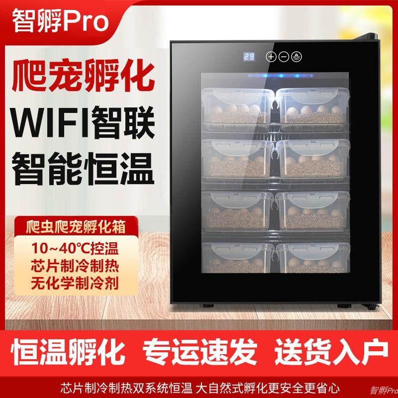 智孵爬宠恒温孵化机境外乌龟智能孵化器蛇家用恒温箱守宫蜥蜴孵化