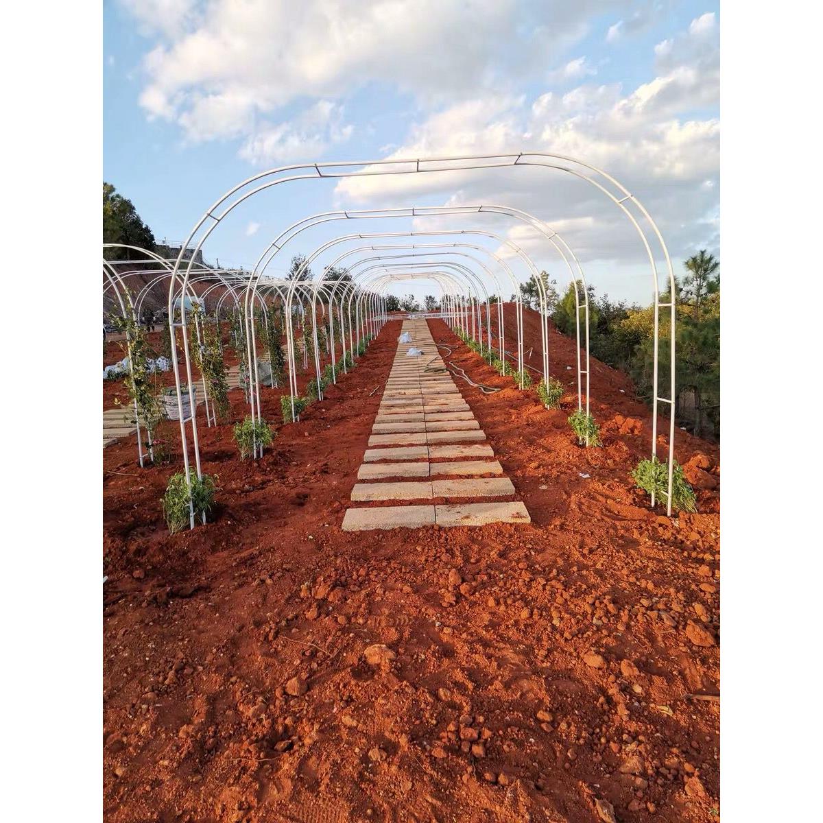 庭院攀爬藤架植物攀爬架丝瓜脚手架室外葡萄架锻铁拱花架室内花架