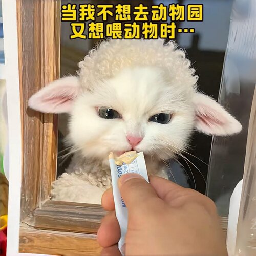 【动物园里有什么】逛三园cos画
