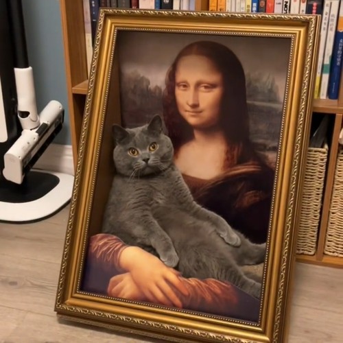 世界名画蒙娜丽莎抱猫4d立体猫窝