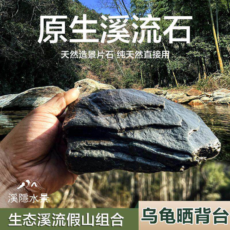 原生缸溪流片石乌龟晒背片岩造景台鱼缸爬宠假山组合石片葡乐
