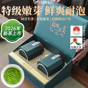 双碑绿茶信阳毛尖特级2026年明前春茶高端礼品瓷罐礼盒装茶礼250g