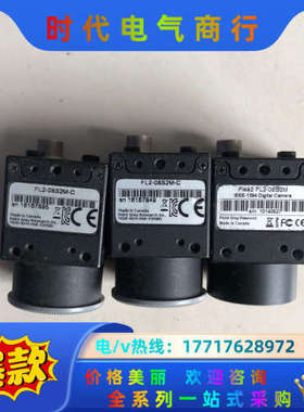 灰点工业相机FL2-08FL2-08S2M-C、、单议价