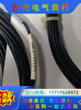 全新HEATEFLEX 温度探头，共4pcs,议价