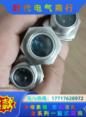 J042*没原装正品IFM易福门 OGT300 OGT-议价