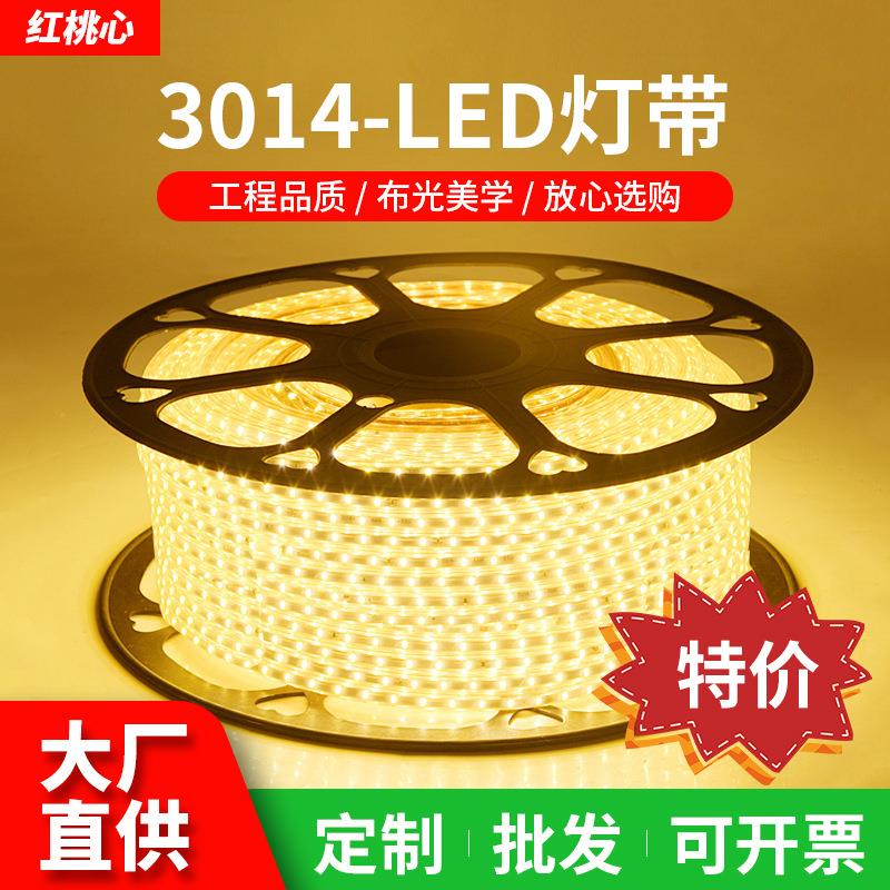 led灯带3014高亮家用220V120珠108珠高压防水柔性软灯条