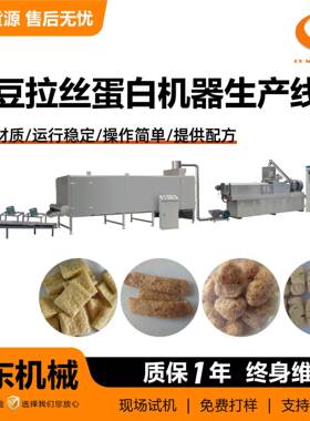 DS65大豆拉丝蛋白生产线 高湿蛋白生产设备 人造素肉加工机器