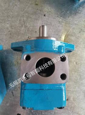 45V60A-1C22L,45V60A-1D22L叶片泵厂家 压铸机油泵 注塑机油泵