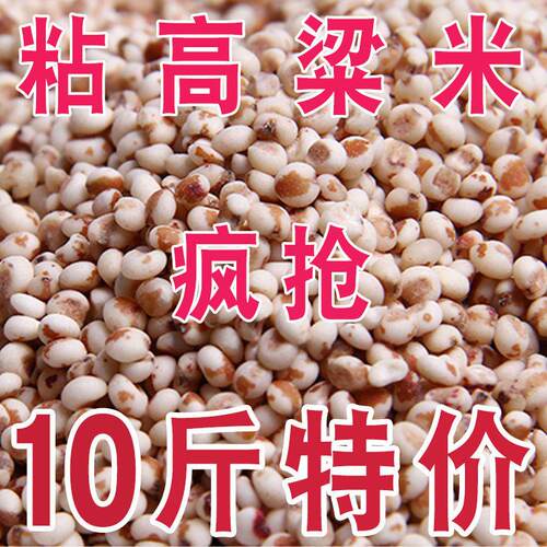 东北粘黏高粱米10斤当季新米红糯高粱米粘糯高粱米去皮杂粮红高粱