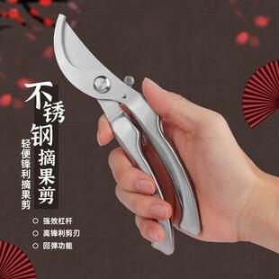 剪枝果树修枝剪刀园艺园林修花枝剪家用强力剪子神器花剪剪枝剪刀