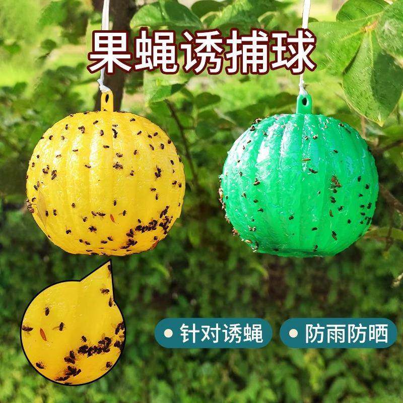 粘虫球果实蝇贴诱蝇球针蜂色引诱剂果蝇诱捕器双面黄板纸果园菜园,居家日用,其它,淘宝优惠券,粉丝福利购,淘宝优惠卷