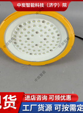 出售防爆投光灯 密封性好防爆投光灯 DGS36/127L(B)防爆投光灯