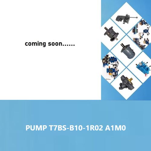 T7BS-B10-1R02 A1M0 船用液压备件液压泵hydraulic pump T7BS系列