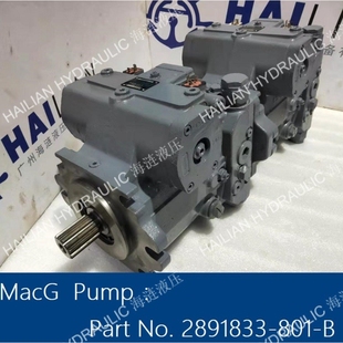 Pump No. MacGREGOR Part B克令吊油泵麦基嘉备件 2891833 801