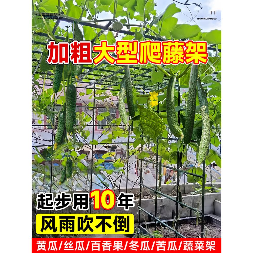 黄瓜攀爬凉棚竹竿葡萄豆攀爬网安装免花架攀爬藤架杆屋顶蔬菜架