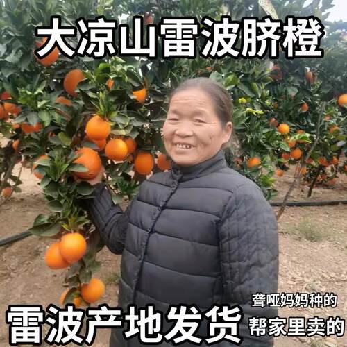 四川大凉山雷波脐橙现摘现发新鲜水果香甜口爆汁5斤9斤19斤礼盒装