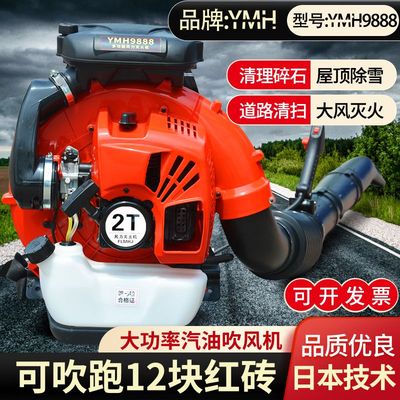 进口大棚吹雪机二冲程汽