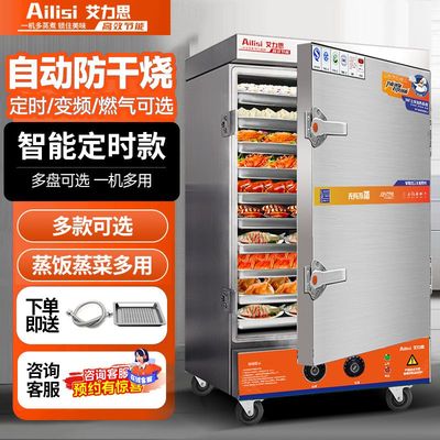 蒸饭柜商用电蒸箱燃气车