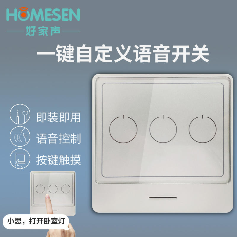 高档离能控制智线开关声控语音识别模摸I说话灯触块面板型家用奢