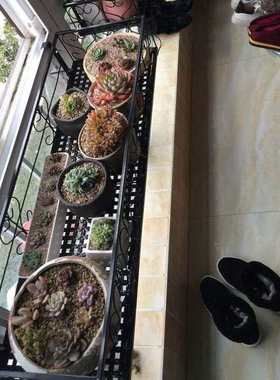 窗外置物架筐 高层楼房厨房室外窗户阳台高楼挂筐吊筐挂钩多功能