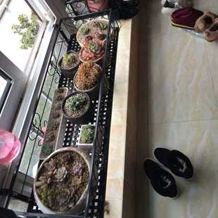 窗外置物架筐 高层楼房厨房室外窗户阳台高楼挂筐吊筐挂钩多功能