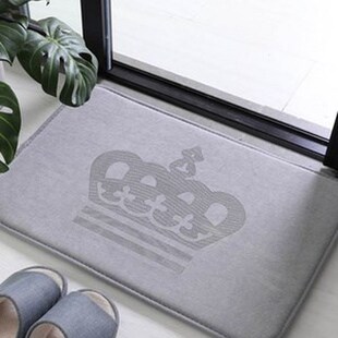 the MATS 极速The mat household suction door bathroom