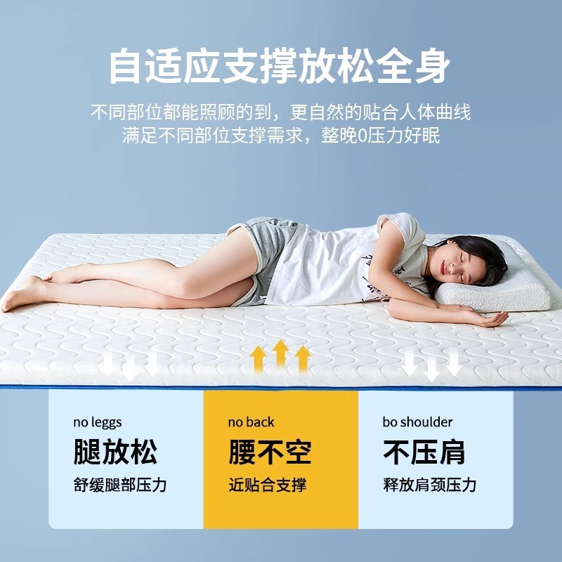 乳胶床垫软垫家用加厚租房宿舍单人记忆棉海绵榻榻米床褥垫子