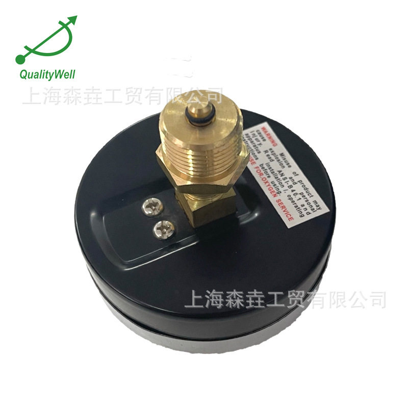 符合全球精度要求温度压力一体表 带铜阀门带设定针 WHT-20