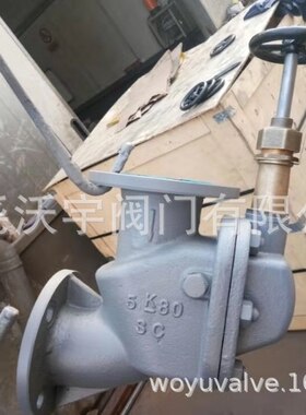 JIS F3060 5K/10k船用法兰铸钢直通防浪阀 JIS F3060R直角防浪阀