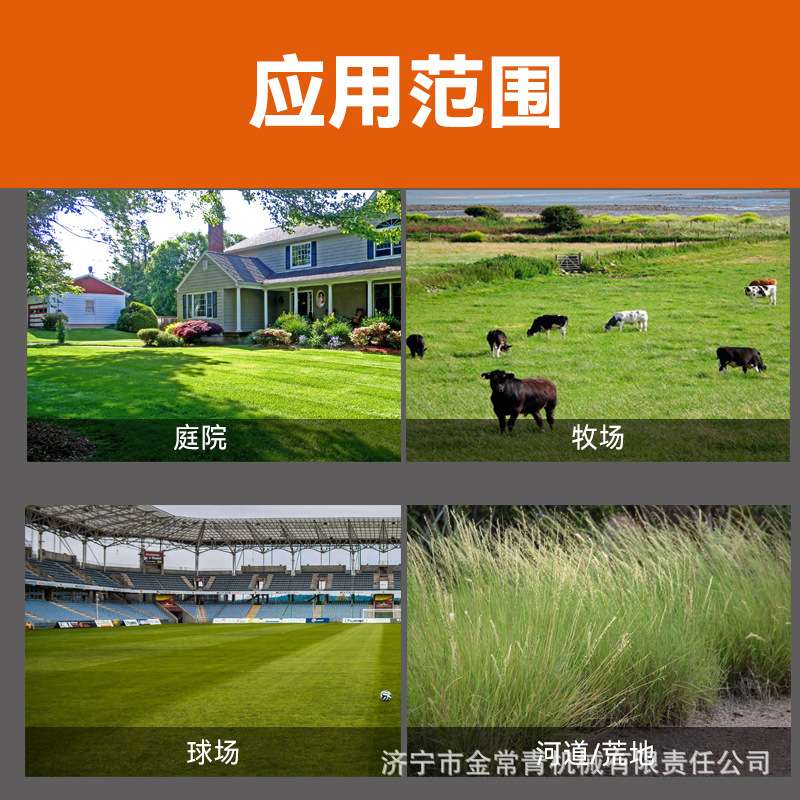 New mount style 50 inch Spede zero turn garden lawn mower