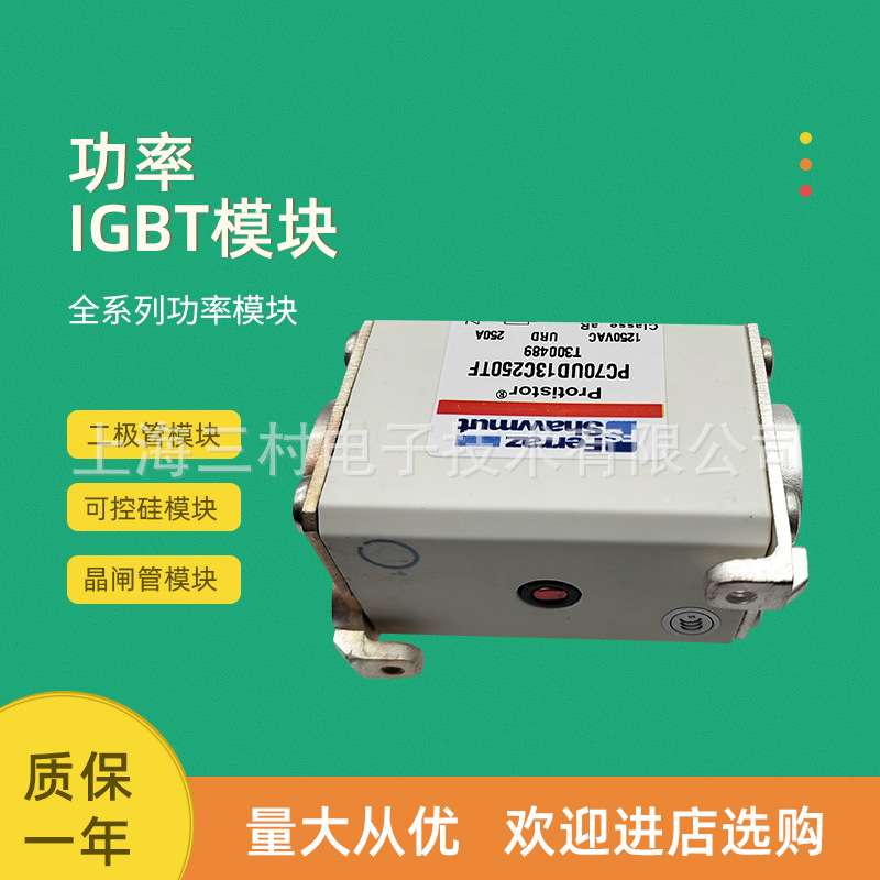 全新熔断器保险PC70GB69V250D1AZ301943 PC70GB69V315D1A J301584