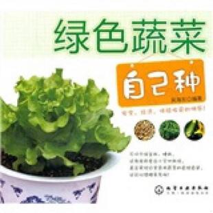 化学工业出版 正版 吴海东编著 绿色蔬菜自己种 社 速发9787122094872
