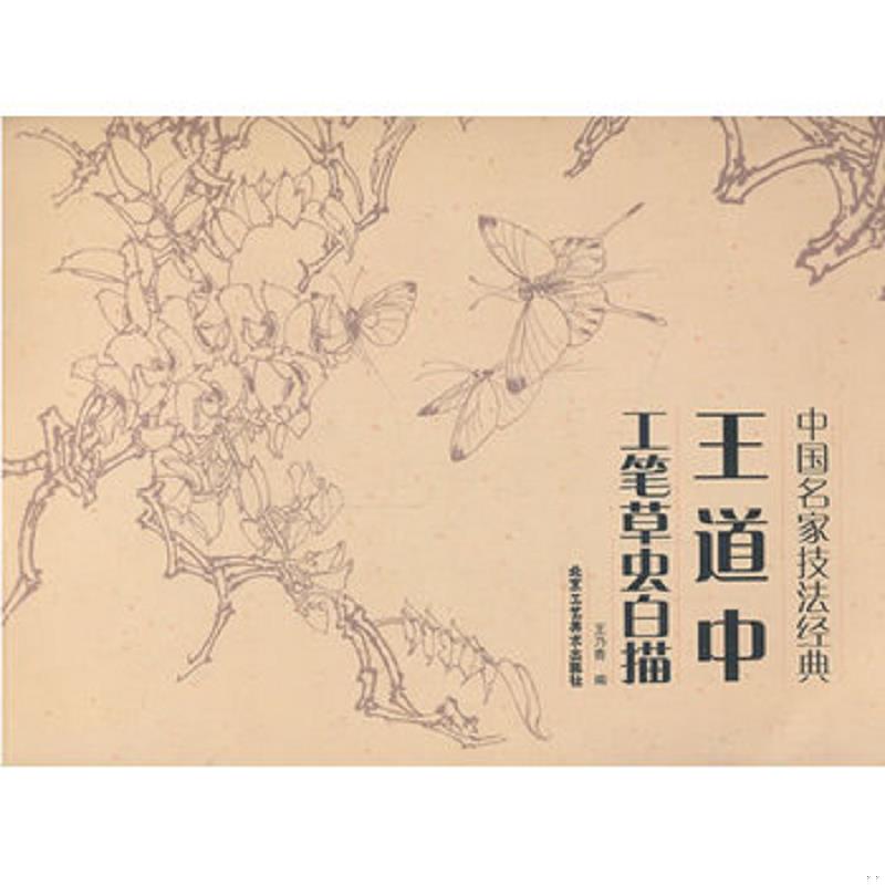 正版速发9787514004205 中国名家技法经典：王道中工笔草虫白描 E8 王乃青编 北京工艺美术出版社