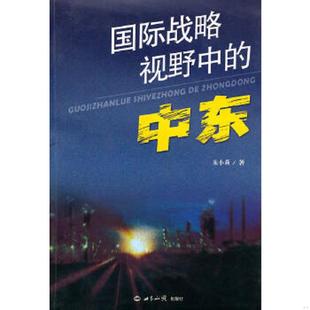 国际战略视野中 中东 朱小莉 正版 世界知识出版 9787501238750 著 社 老旧