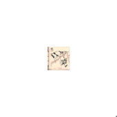 西泠出版 正版 社 绍兴深度游手绘地图集 绍兴市旅游委员会编 速发9787550806665 图步绍兴