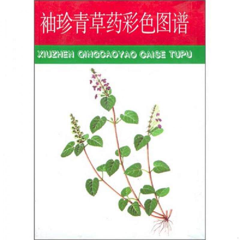正版速发9787533512323 袖珍青草药彩色图谱 赵秀贞主编 福建科技出版社