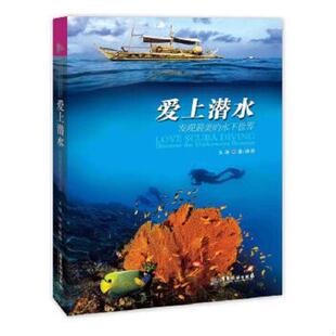 速发9787557000462 广东旅游出版 爱上潜水：发现最美 王洁 社 水下世界 正版