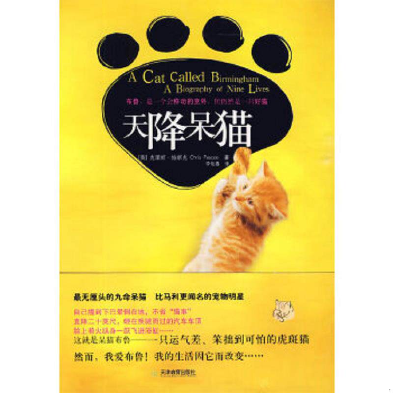 正版速发9787530958315 天降呆猫 （英）帕斯克　著,李佑嘉　译 天津教育出版社
