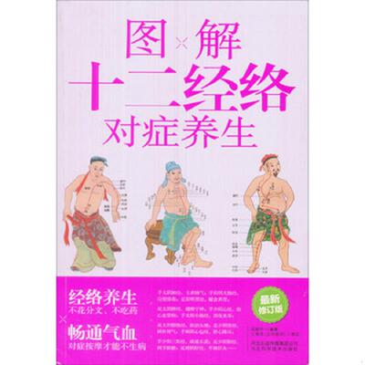 正版速发9787537541114 图解十二经络对症养生 戎新宇 河北科学技术出版社