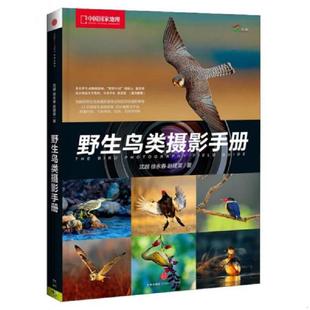 中信出版 正版 沈越 野生鸟类摄影手册 社 速发9787508637693