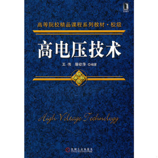 正版速发9787111330813 高电压技术 王伟　等编著 机械工业出版社
