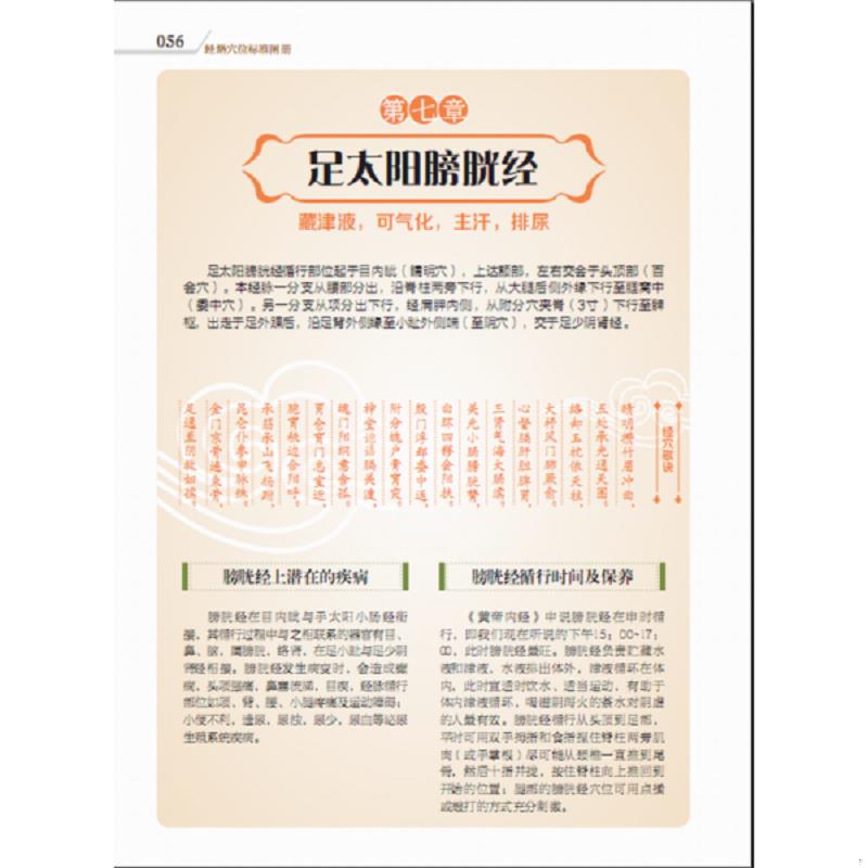 正版速发9787533766009 （视频互动穴位书）经络穴位标准图册【一版一印 大16开带光盘 品好】 李志刚著 安徽科学技术出版社